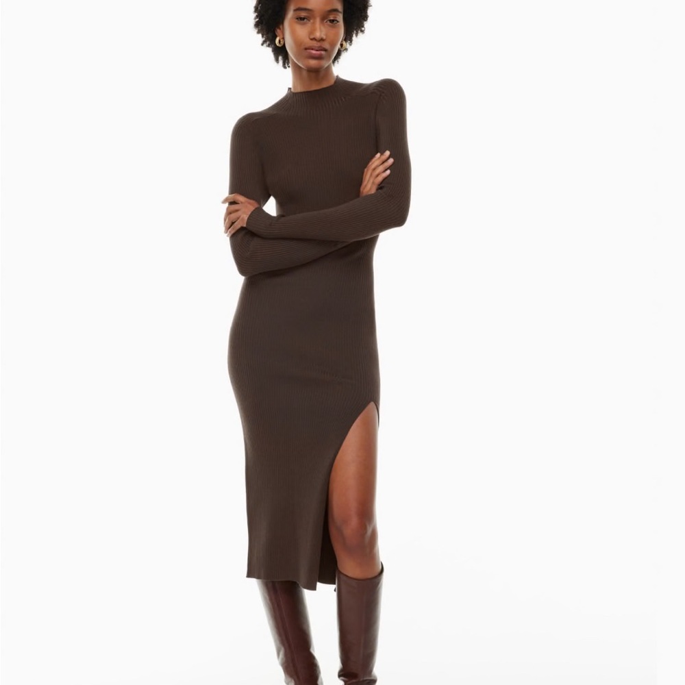NWT Aritzia Alchemy Dress in Rich Mocha Brown